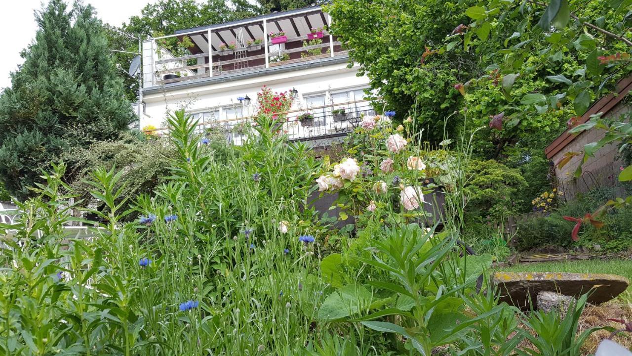 Les Iris Chambres D'Hote Niedermorschwihr Εξωτερικό φωτογραφία